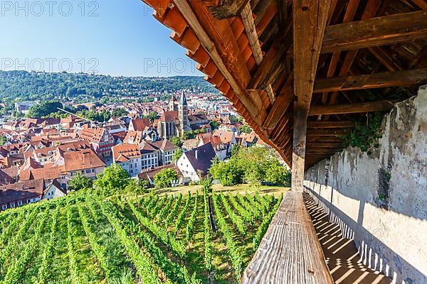 View of the town of Esslingen from Seilergang with historic town hall and church Travel in Esslingen