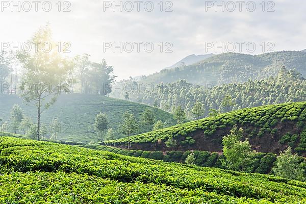 Kerala India travel background