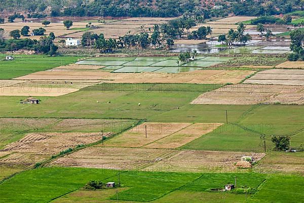 Aeiral view of Indian countryside with rice paddies. Near Thirukalukundram