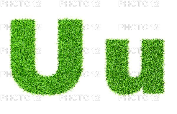 Grass letter U