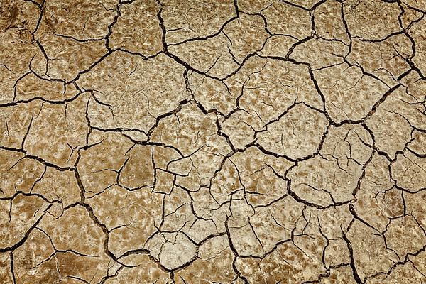 Cracked earth background texture