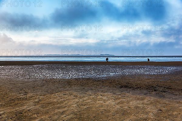 Walkers in the Wadden Sea