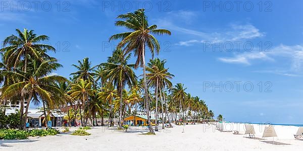 Beach Playa Spratt Bight Travel Holiday Vacation with Palm Panorama by the Sea on San Andres Island in Colombia