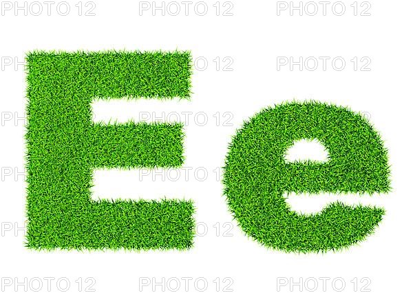 Grass letter E