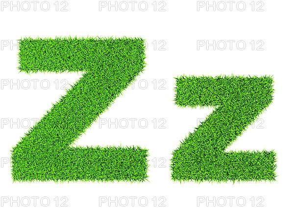 Grass letter Z