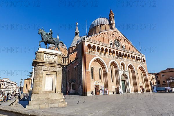 Basilica of St. Anthony in Padova Church Travel City in Padua