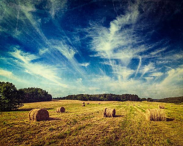 Vintage retro hipster style travel image of Agriculture background