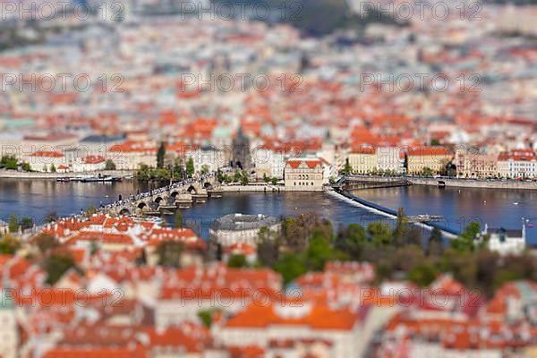 Aerial view of Charles Bridge over Vltava river and Old city from Petrin hill Observation Tower with tilt shift toy effect shallow depth of field. Prague