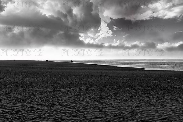 View of the dark sand mudflats in autumn