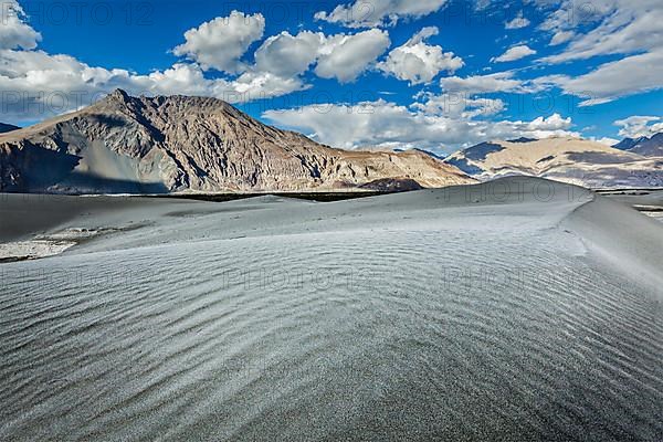 Sand dunes in Himalayas. Hunder