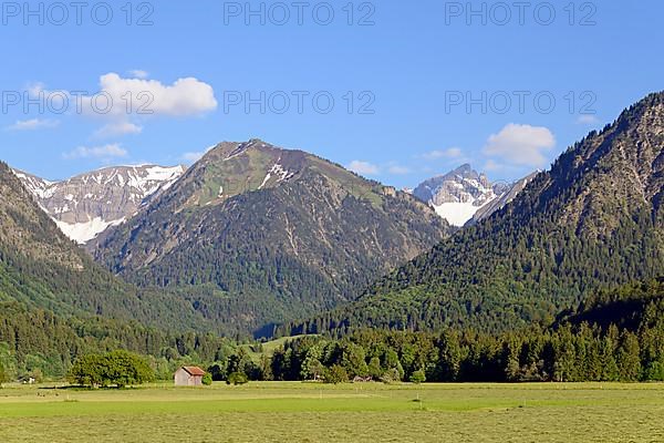 View from the Loretto meadows to the hay harvest and to the mountain Riefenkopf 1748m