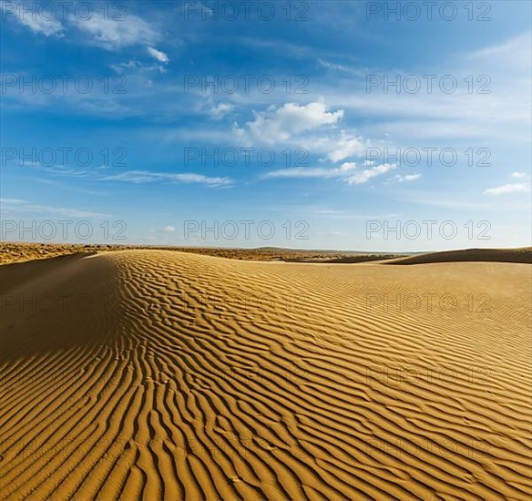 Dunes of Thar Desert. Sam Sand dunes