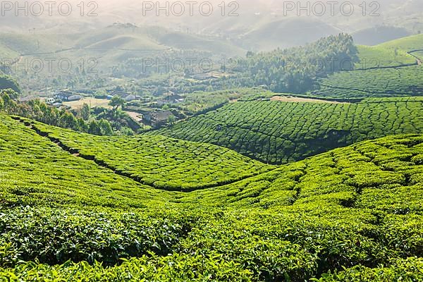 Kerala India travel background