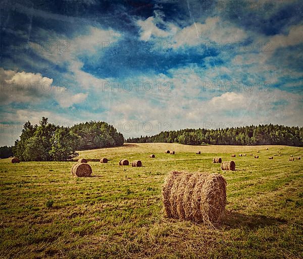 Vintage retro hipster style travel image of Agriculture background