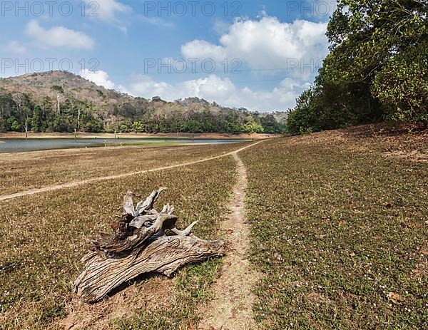 Periyar wildlife sanctuary