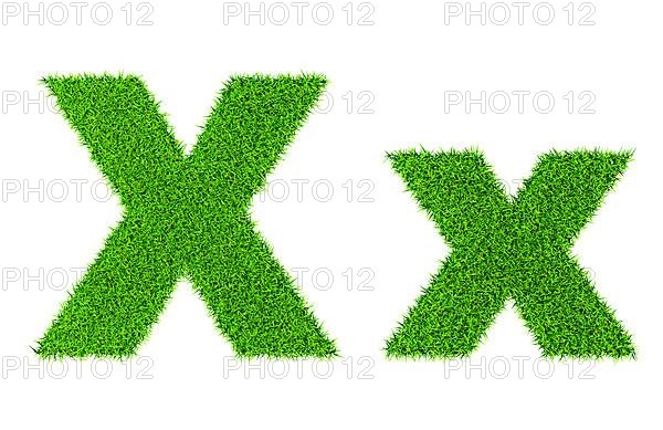 Grass letter X