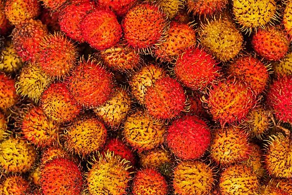 Tropical fruit rambutan close up in Cambodian market