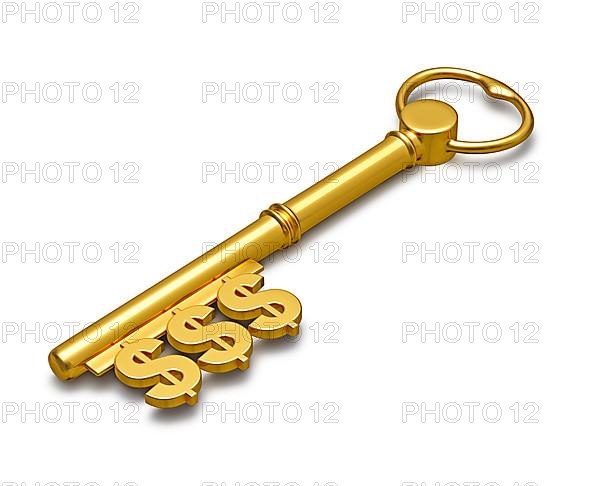 Key to Wealth with dollar signs isolated on white