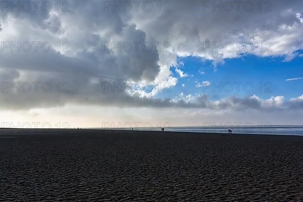 View of the dark sand mudflats in autumn