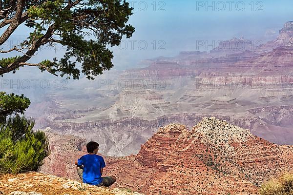 Hiker sitting under pine