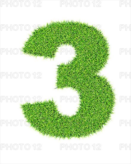 Grass number 3 three