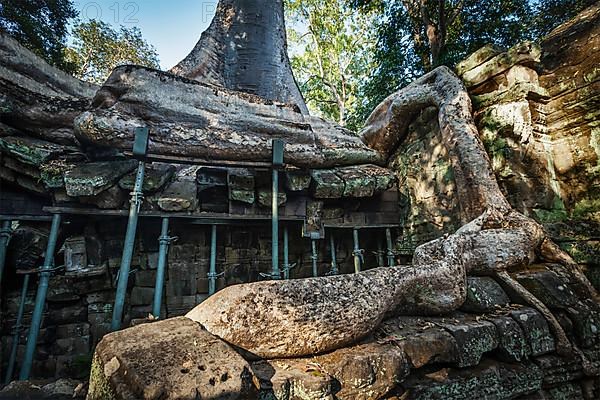 Travel Cambodia concept background