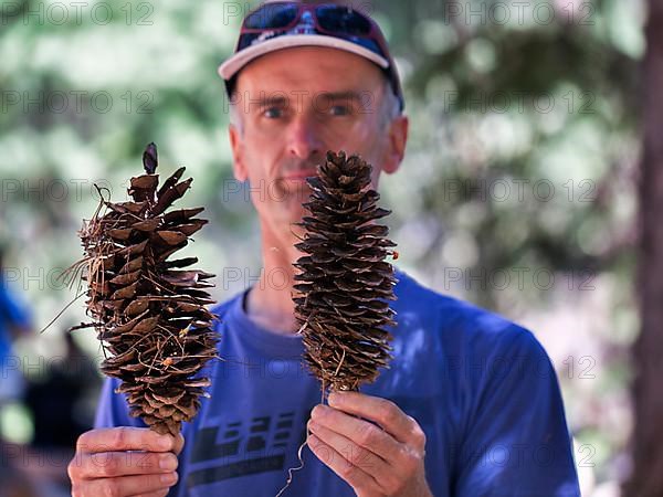 Person holding two large cones in his hands