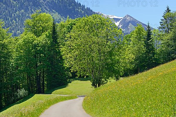 Narrow road leads into the Trettachtal valley near Oberstdorf