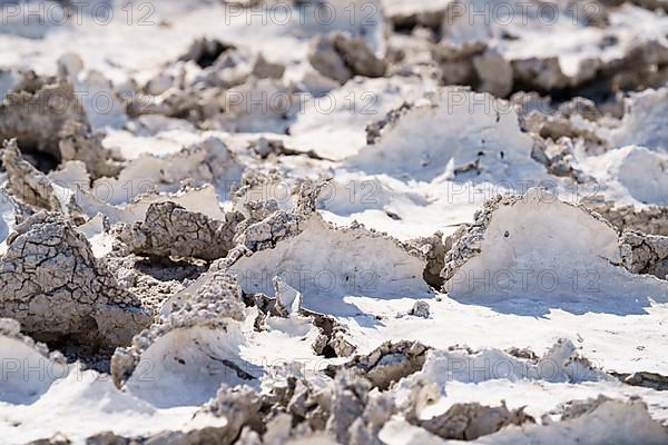 Drought mud patterns with cracks on the ground