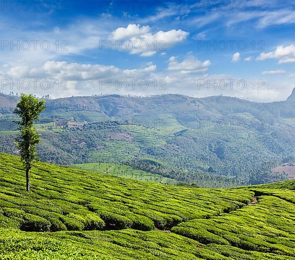 Kerala India travel background