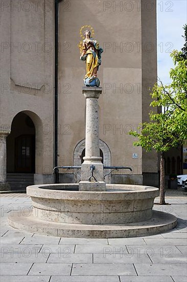 Marian column in front of the church of St. Walburga