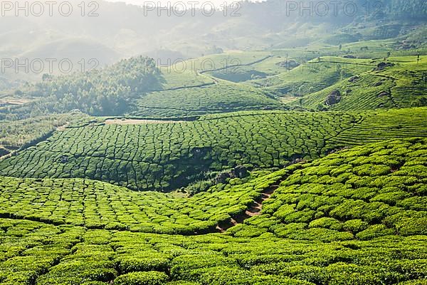 Kerala India travel background