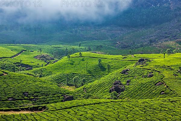 Kerala India travel background