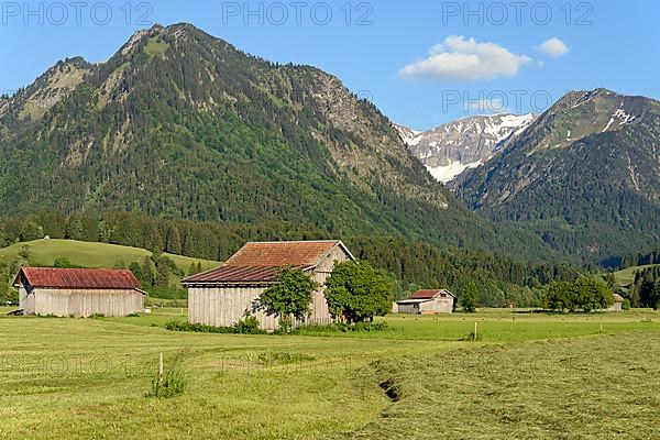 View from the Loretto meadows to the hay harvest and the mountains Schattenberg 1721m