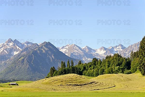 View of the mountain panorama of the Allgaeu Alps