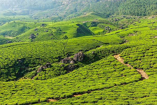 Kerala India travel background