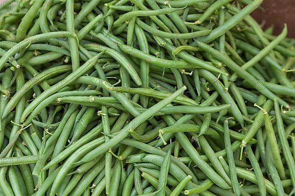 Market stall with green common bean