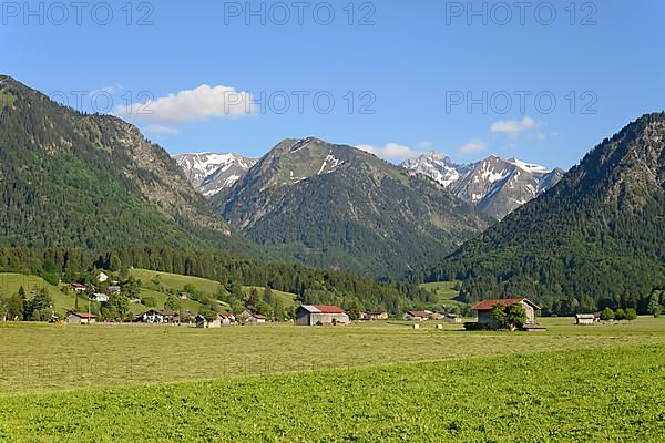 View from the Loretto meadows to the hay harvest and to the mountain Riefenkopf 1748 m