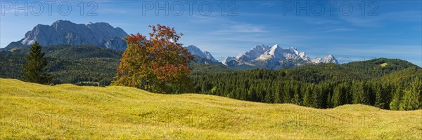 Mogul meadows between Mittenwald and Kruen