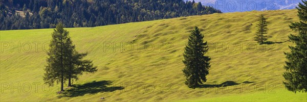 Buckelwiesen between Mittenwald and Kruen