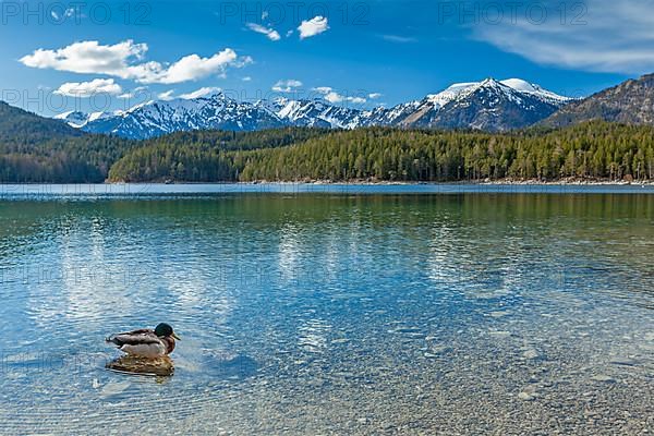 Eibsee lake. Bavaria