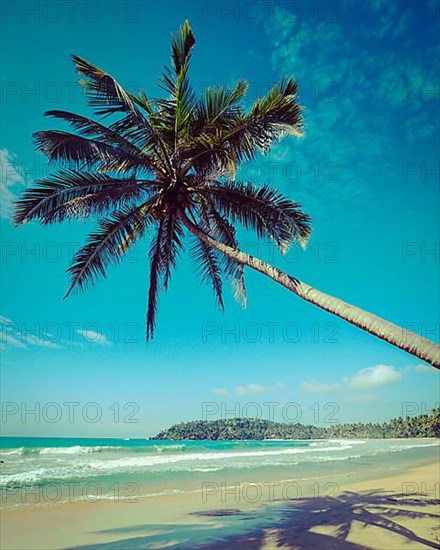 Vintage retro hipster style travel image of tropical paradise idyllic beach with palm. Sri Lanka