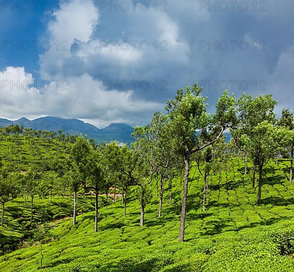 Kerala India travel background