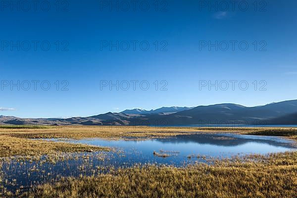 Tso Moriri lake in Himalayas