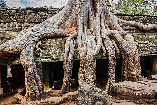 Travel Cambodia concept background