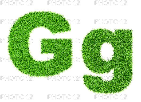 Grass letter G