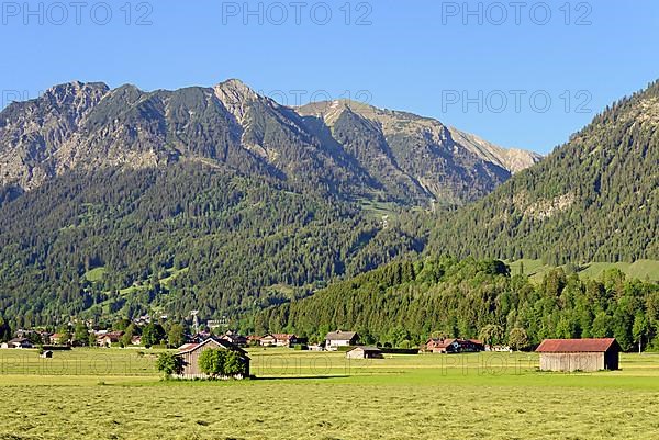 View from the Loretto meadows to the hay harvest and the mountains near Oberstdorf