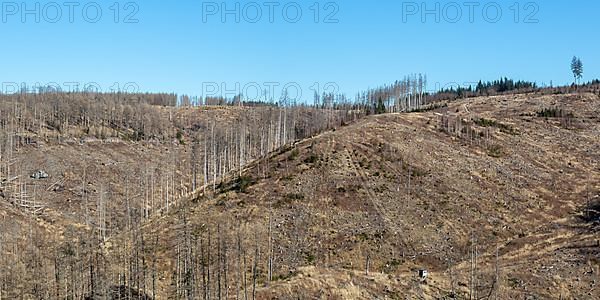 Environmental Destruction Climate Crisis Climate Change Environment Destruction Panorama Landscape Nature Forest Dieback at the Brocken in the Harz Mountains