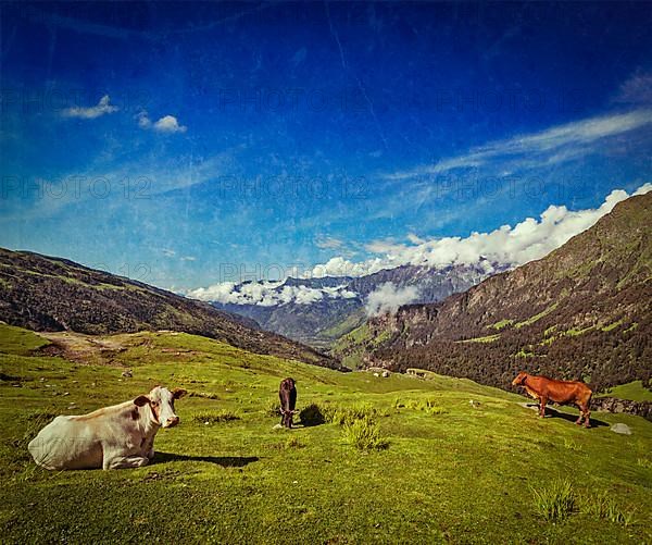 Vintage retro hipster style travel image of serene peaceful landscape background