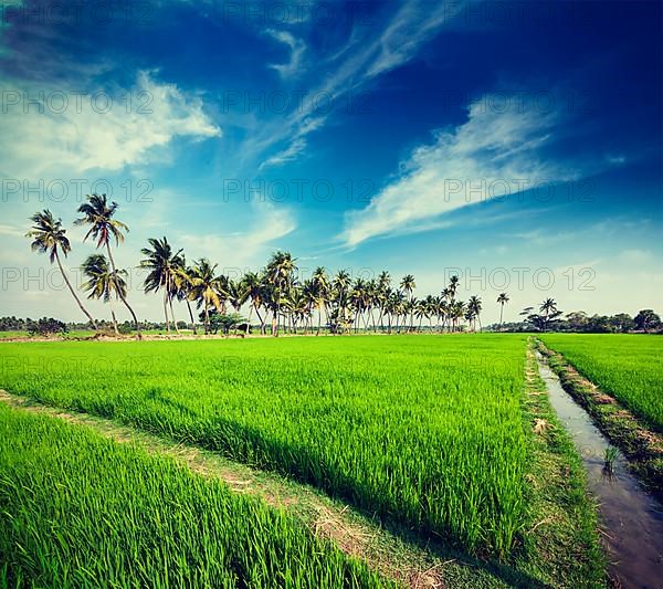 Vintage retro hipster style travel image of rural Indian scene